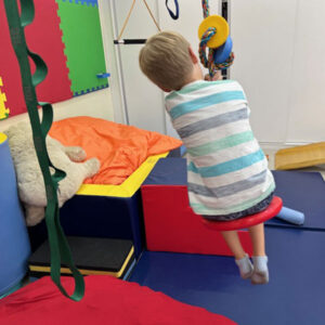 alteracoes desenvolvimento infantil